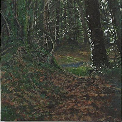 Ger O'Reilly - Forest Trail