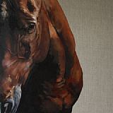 ‘A Dark Horse’ solo show by Tony O’Connor 2012