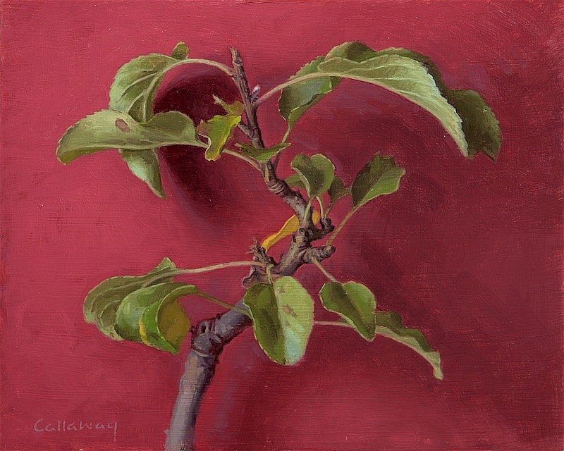 Alex  Callaway - Apple Tree Leaves