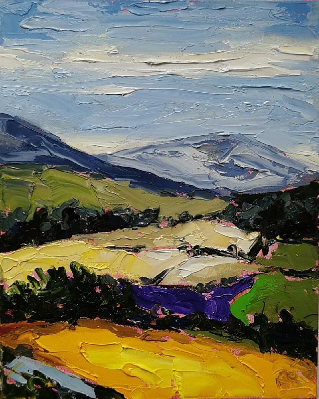 View Wicklow ,Colorful meadows 3 