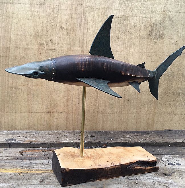 Hammerhead shark  by Niki Burns