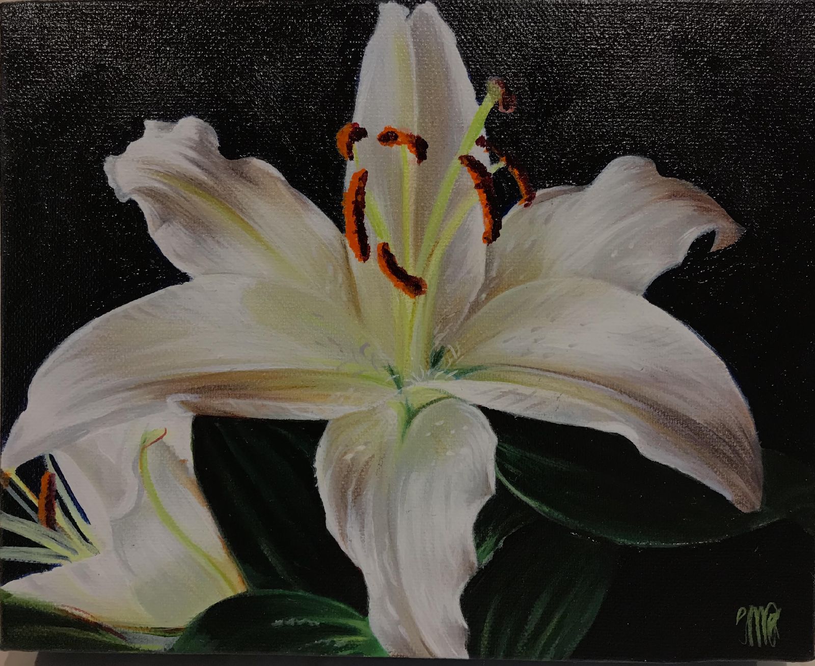 Lillies  by Trudy Good