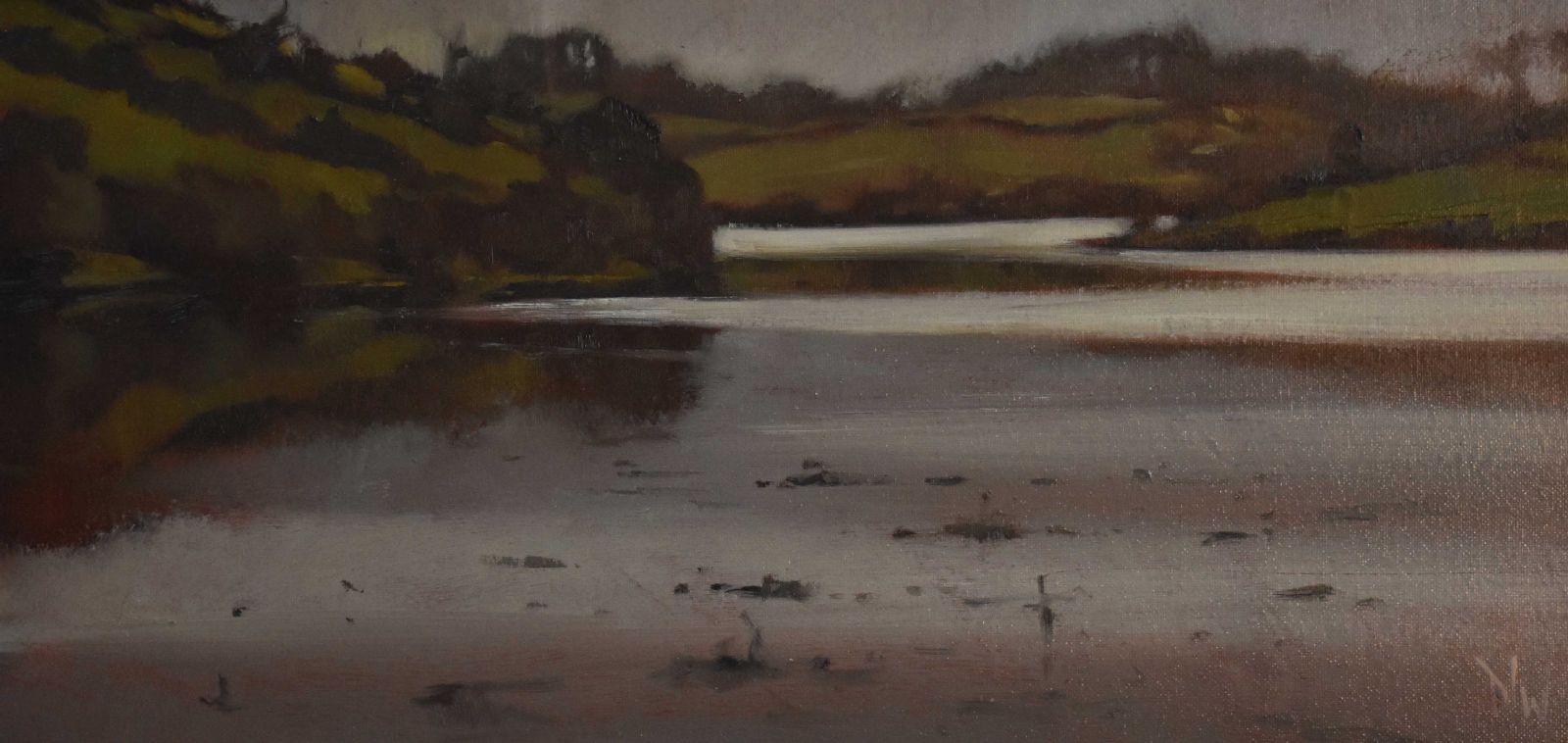 ‘Traces’ (Castle Island, Strangford Lough)  by Dave West