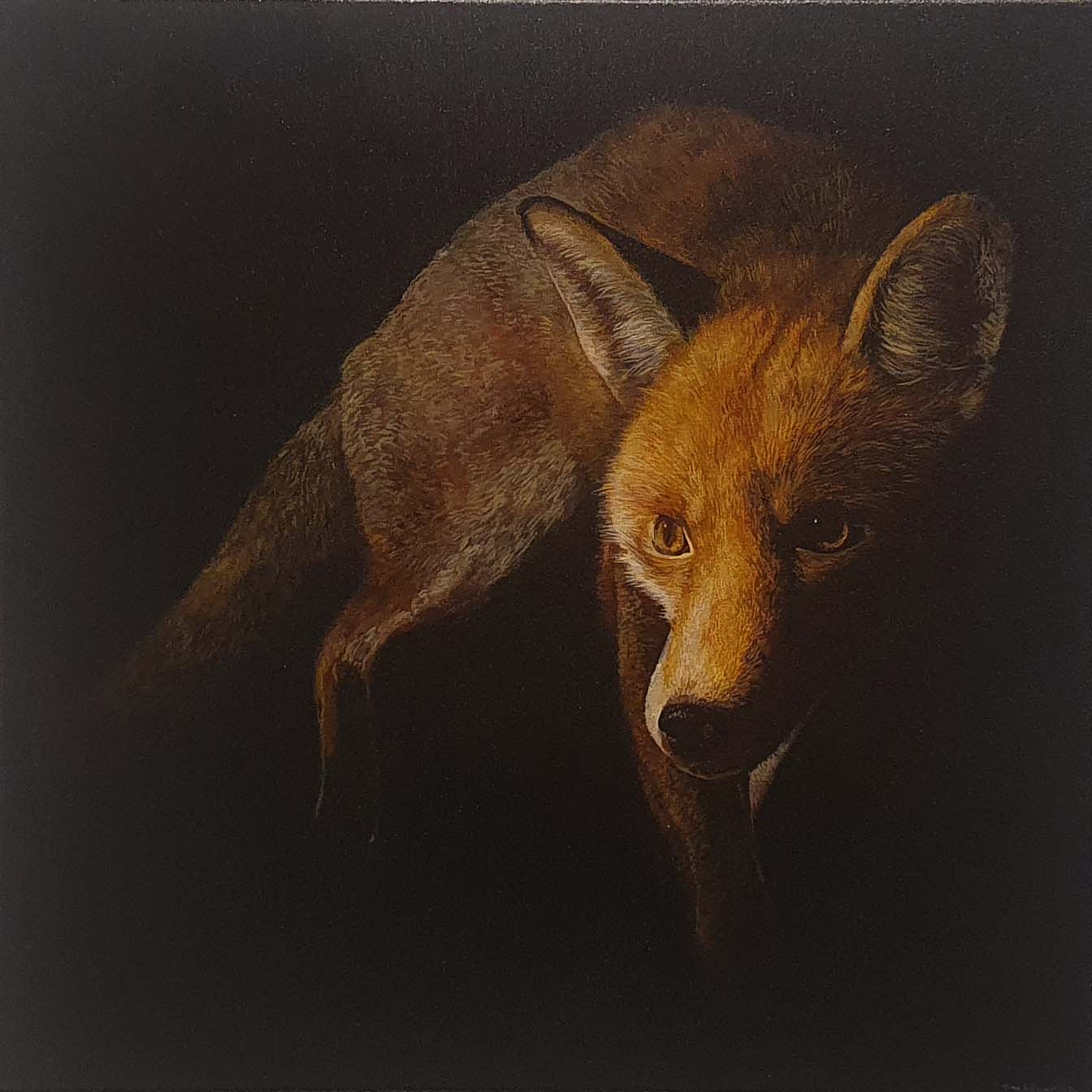 Fox by Tony O'Connor