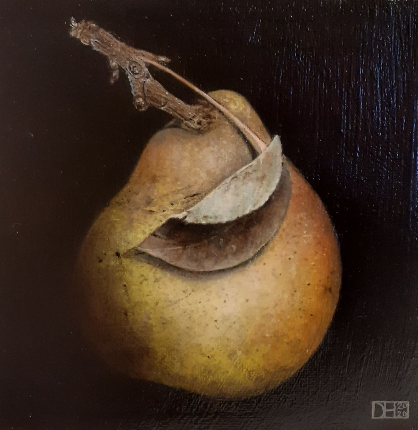Very Ripe Pear  by Dani Humberstone