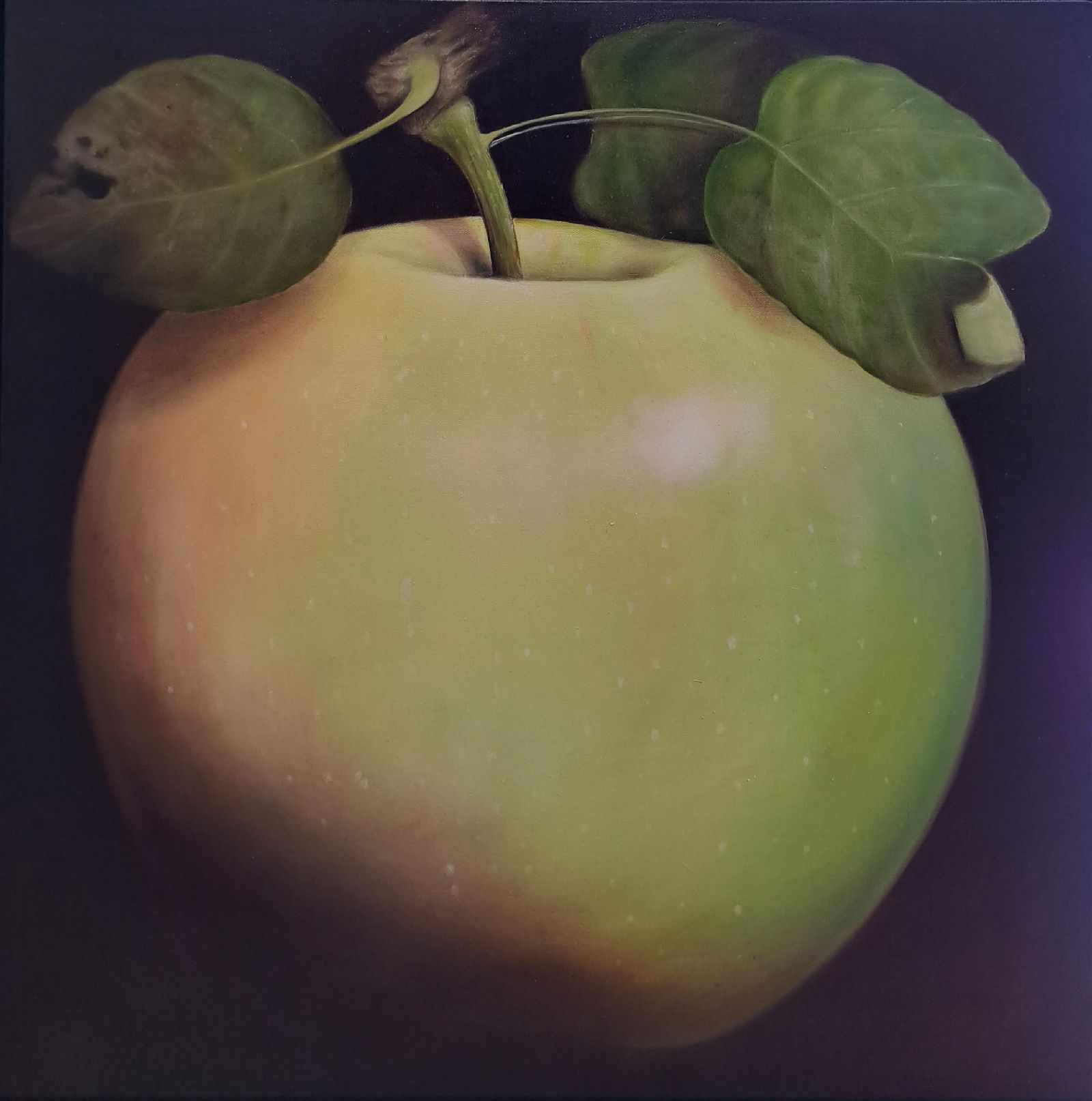 Dani Humberstone - Apple
