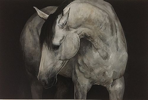 Shades of grey  by Tony O'Connor