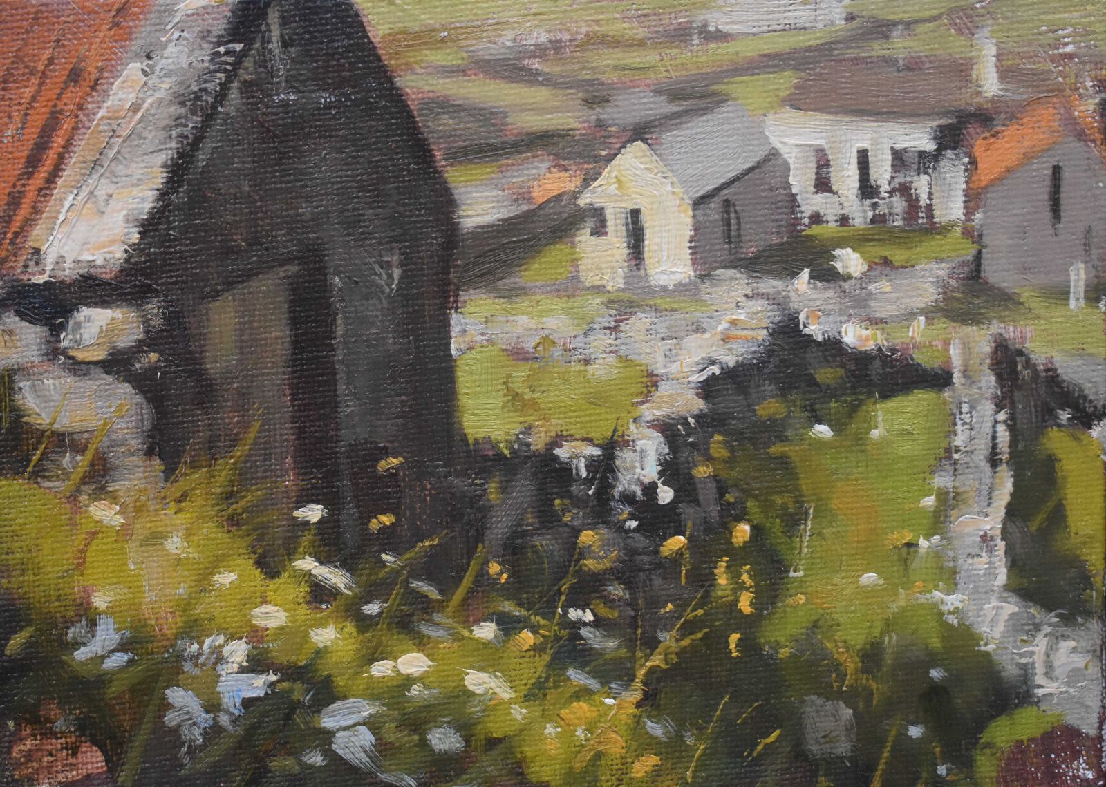 Fields Inishmaan by Dave West