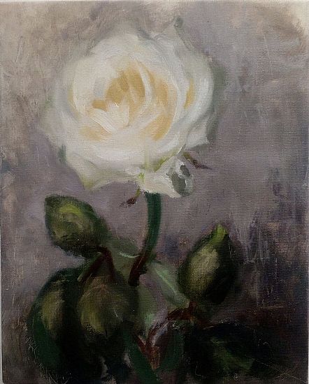 Unknown - Avalanche Rose Study I