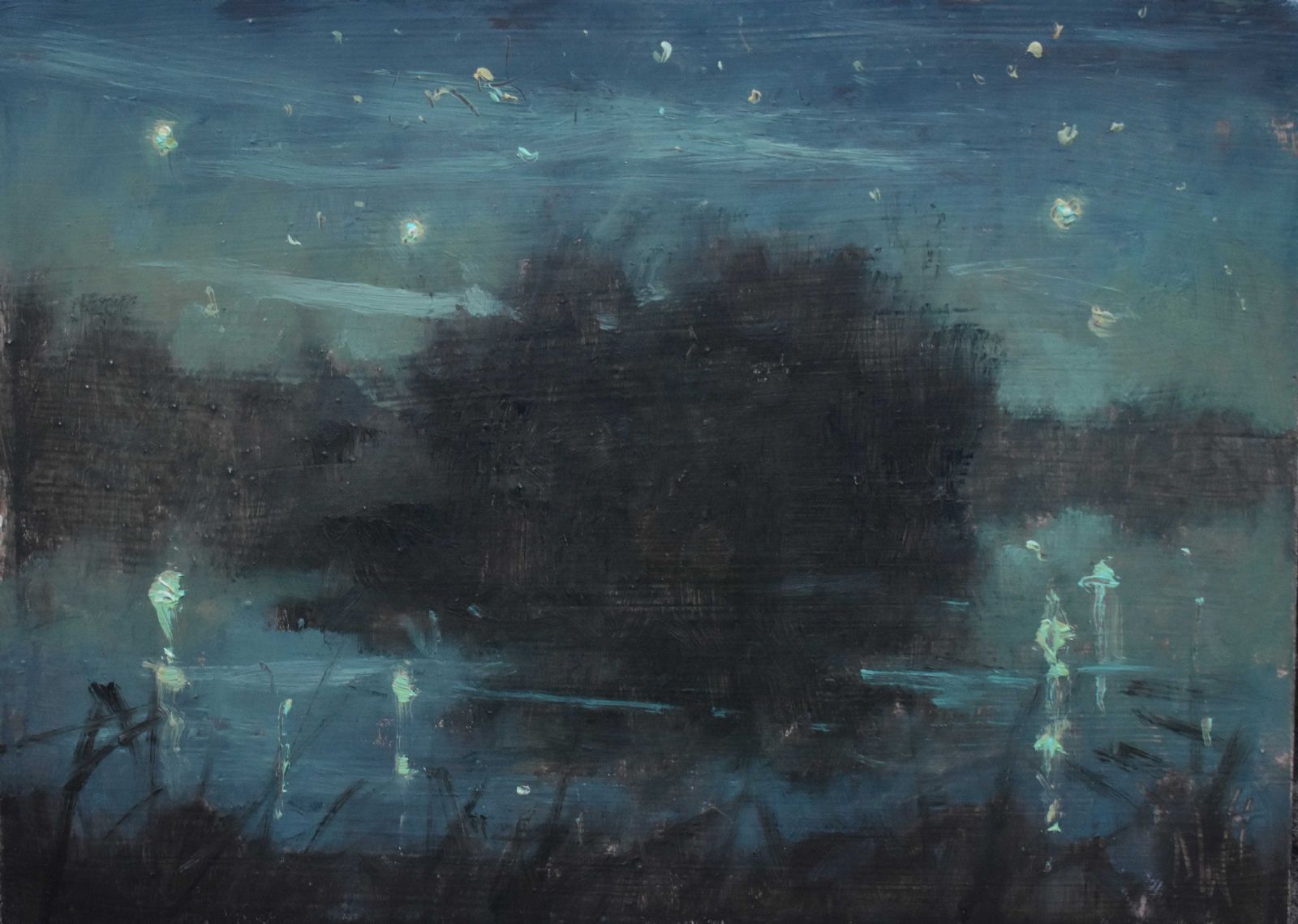 Crannog Nocturne (Lough Rynn) by Dave West
