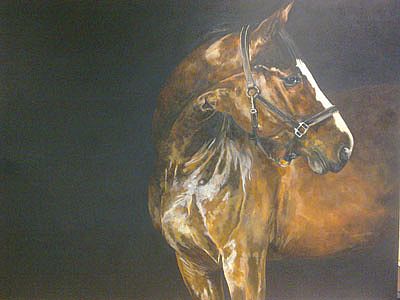 A Dark Horse by  Unknown
