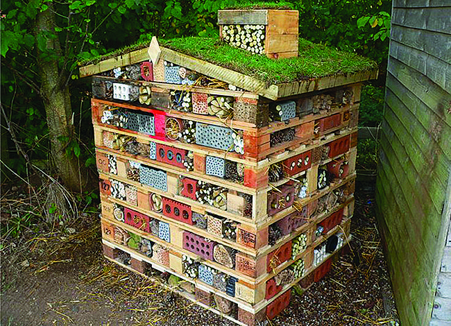 Build a Bug Hotel by  Unknown