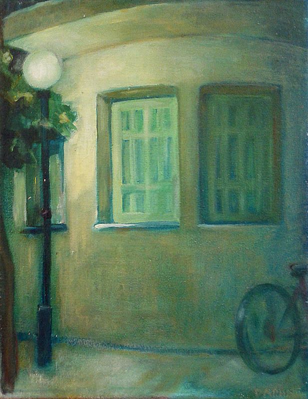 The Corner house at night by Daphne  Petrohilos
