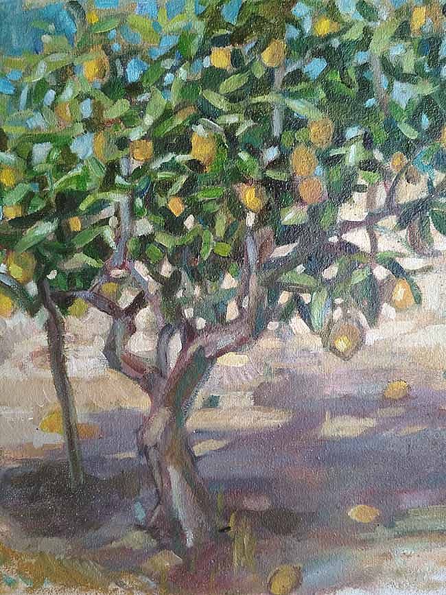 Daphne  Petrohilos - Mr. Costa's Lemon Tree