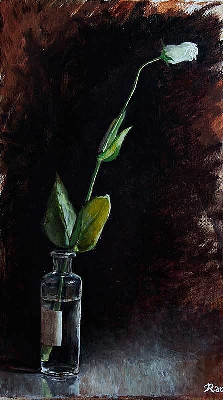 Lisianthus by  Unknown