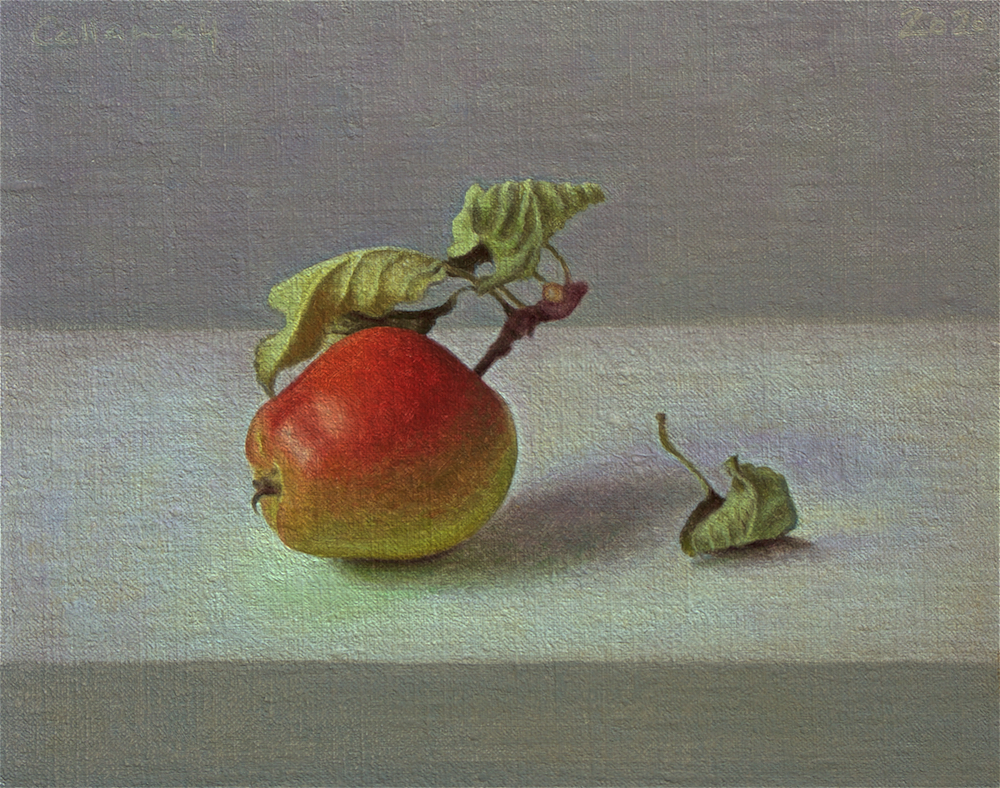 Apple With Leaf by Alex  Callaway