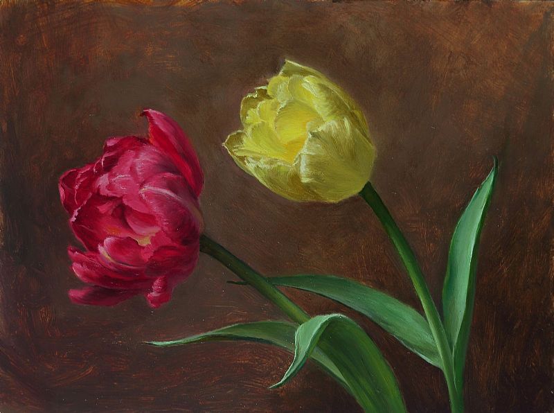 Rae Perry - Double Tulips