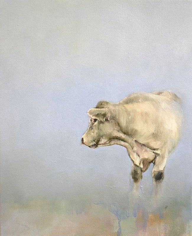 Sallyann Beirne - The Bull