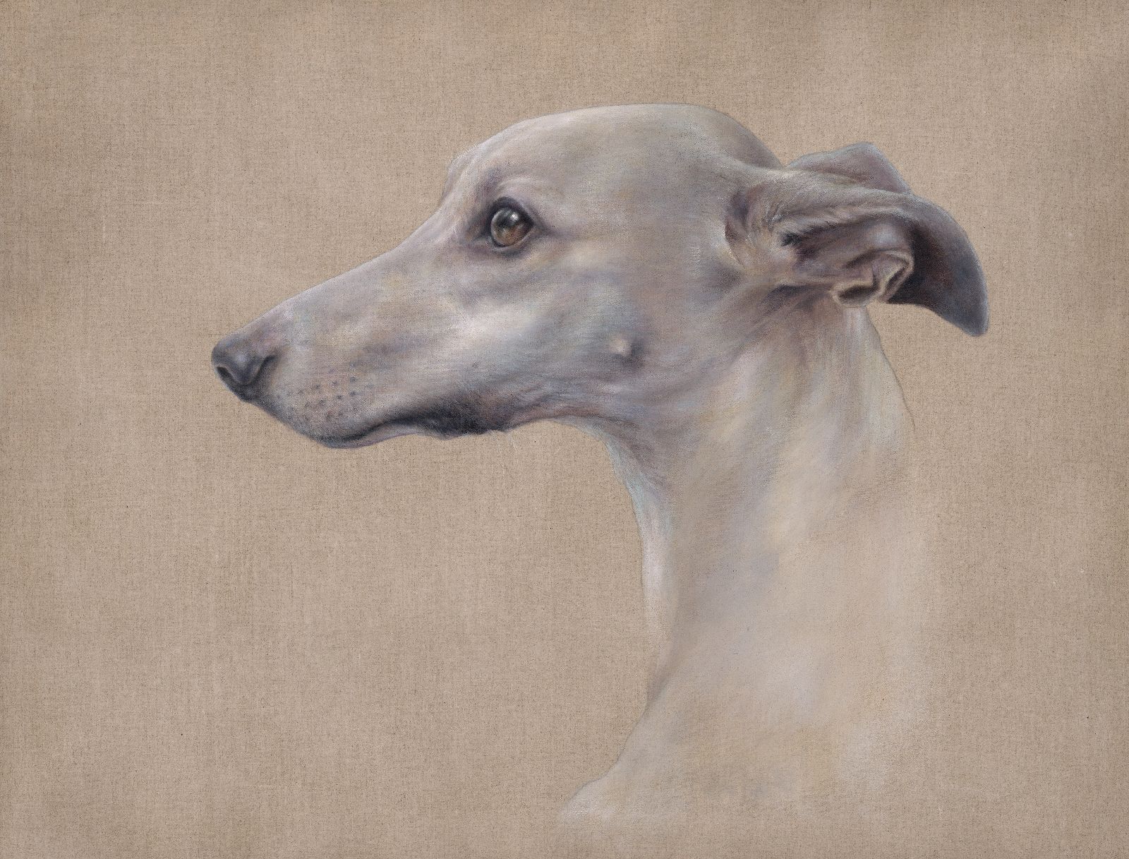 Gazehound by Karen  Lightfoot