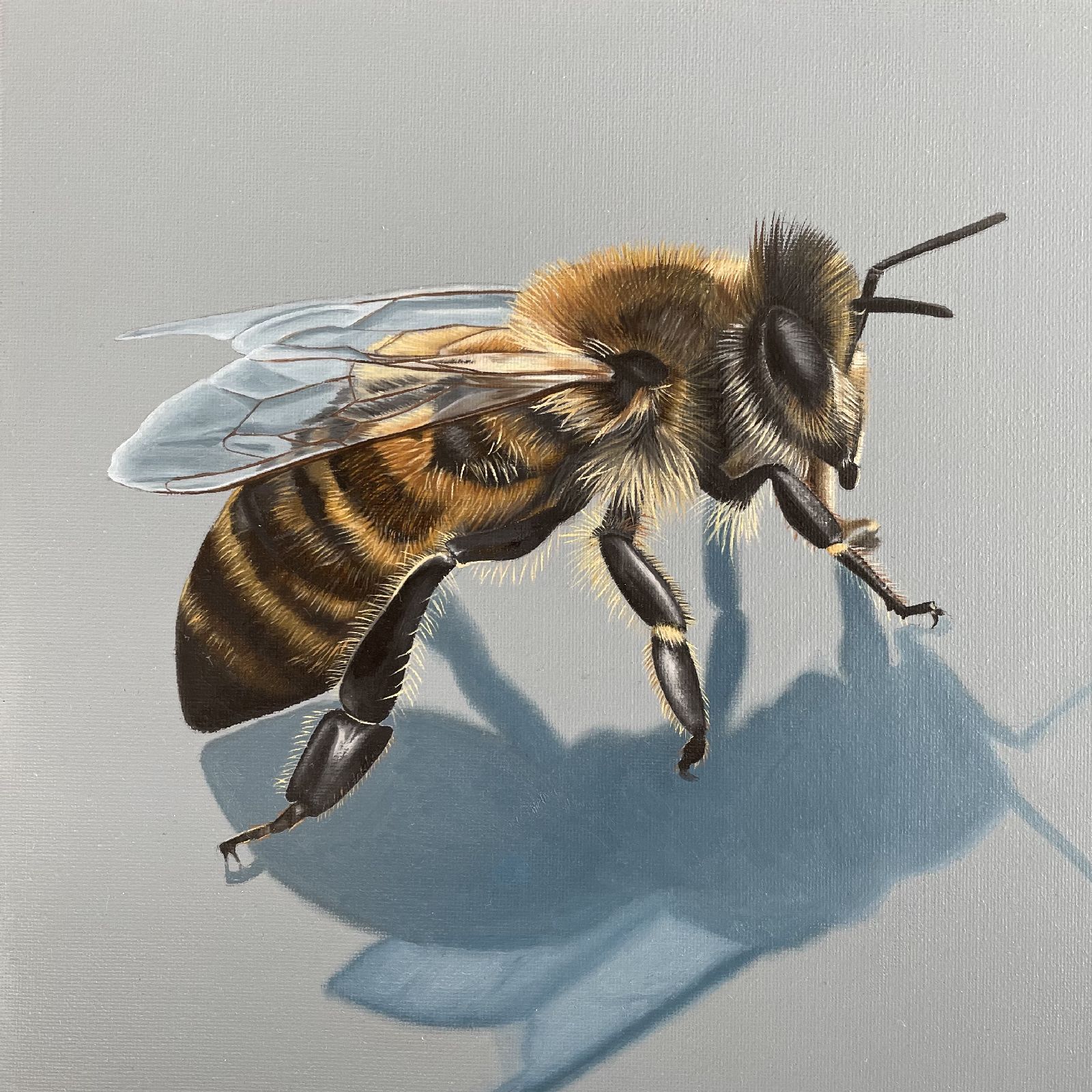 Cartoon honey bees drawing stock vector. Illustration of cute - 194286130-saigonsouth.com.vn