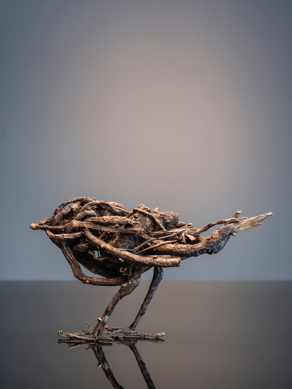 Robyn  Neild - Coastal Bird 