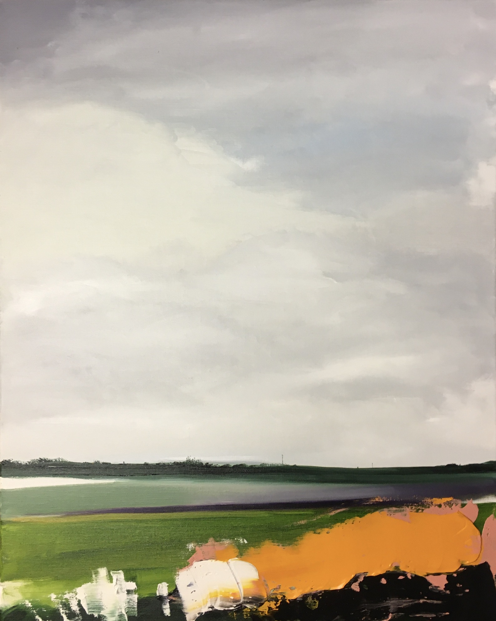 Orange fields for nearly ever  by Adam De Ville