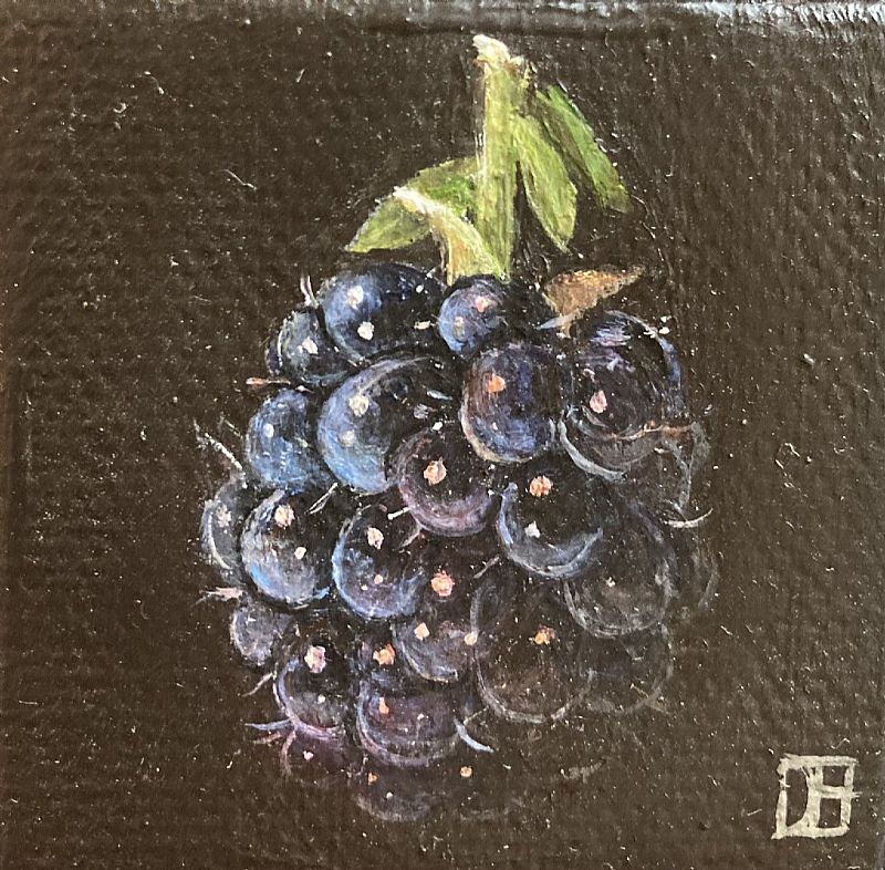 Dani Humberstone - Pocket blackberry