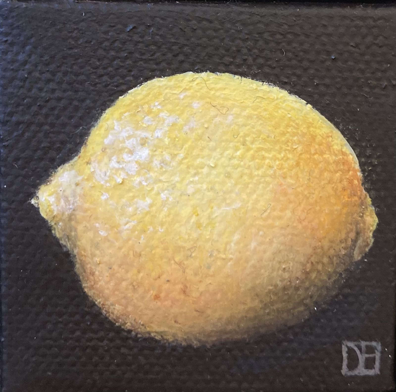 Dani Humberstone - Pocket lemon