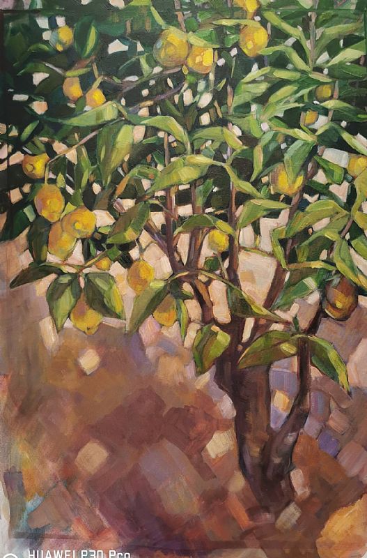 Daphne  Petrohilos - Lemon Tree