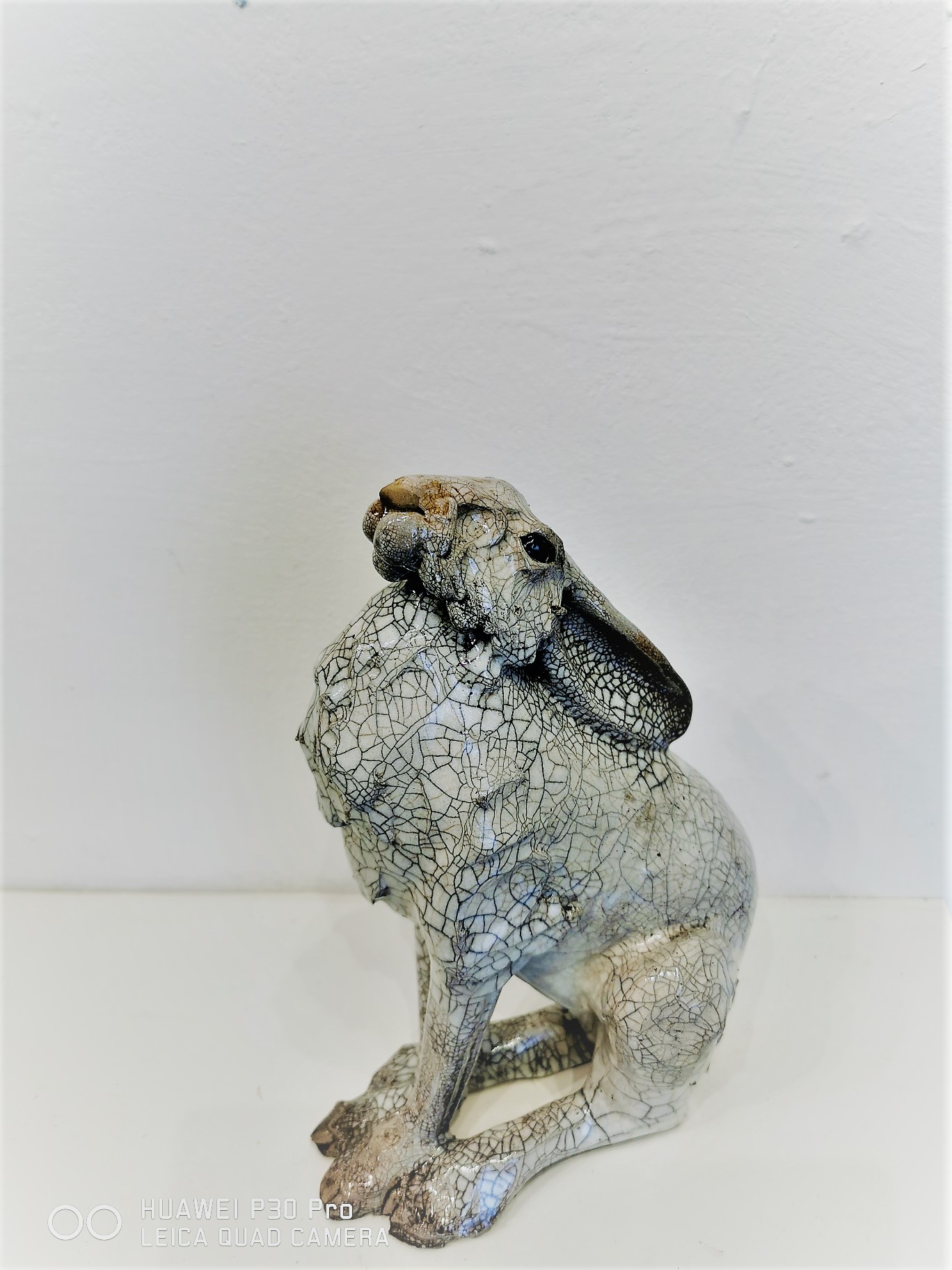 Sitting Hare by Carol Read Richard Ballantyne