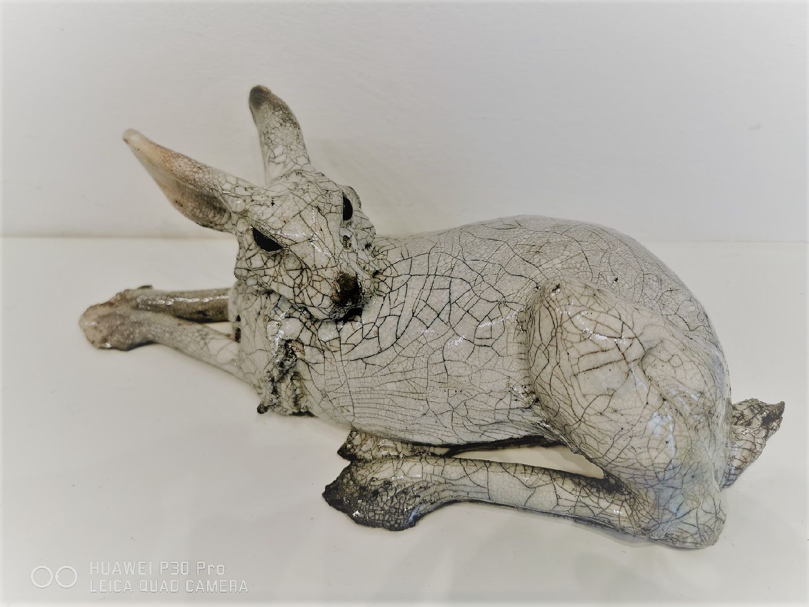 Hare by Carol Read Richard Ballantyne