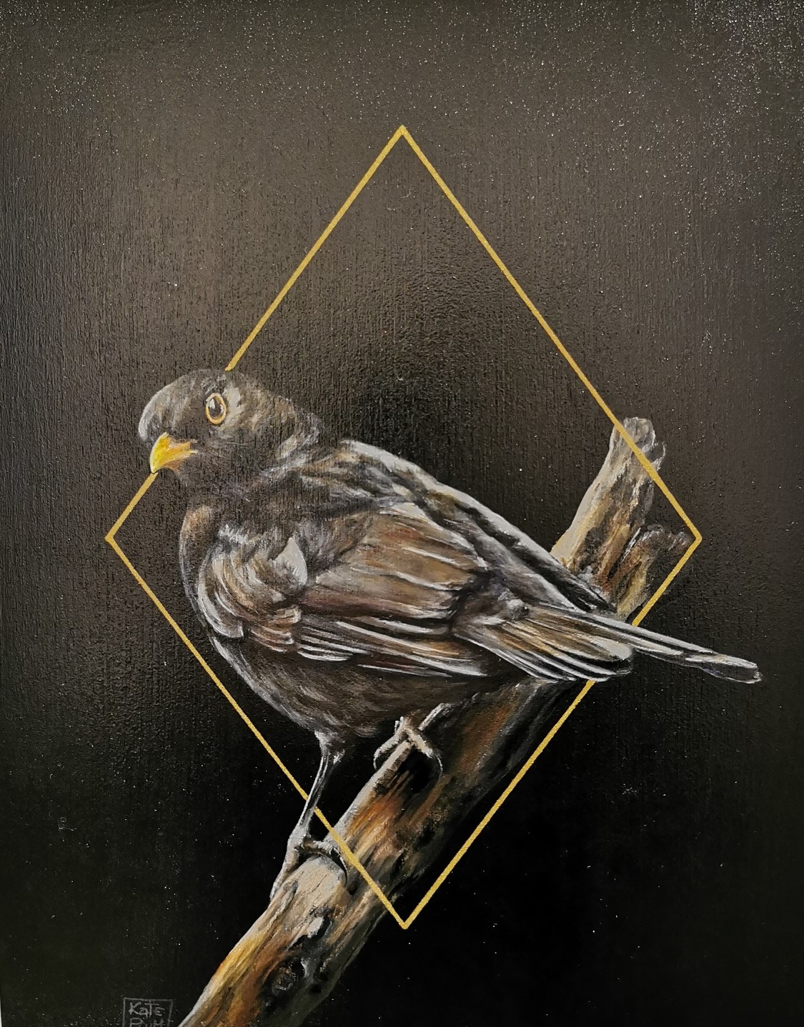 Blackbird by Kate Plum
