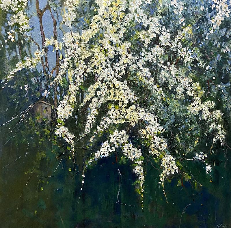 Hawthorn in May