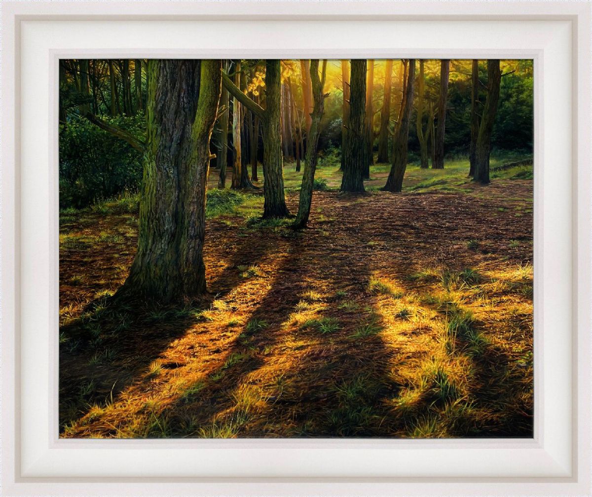Killiney Hill Park, Walk into the Light by Sergey  Talichkin 