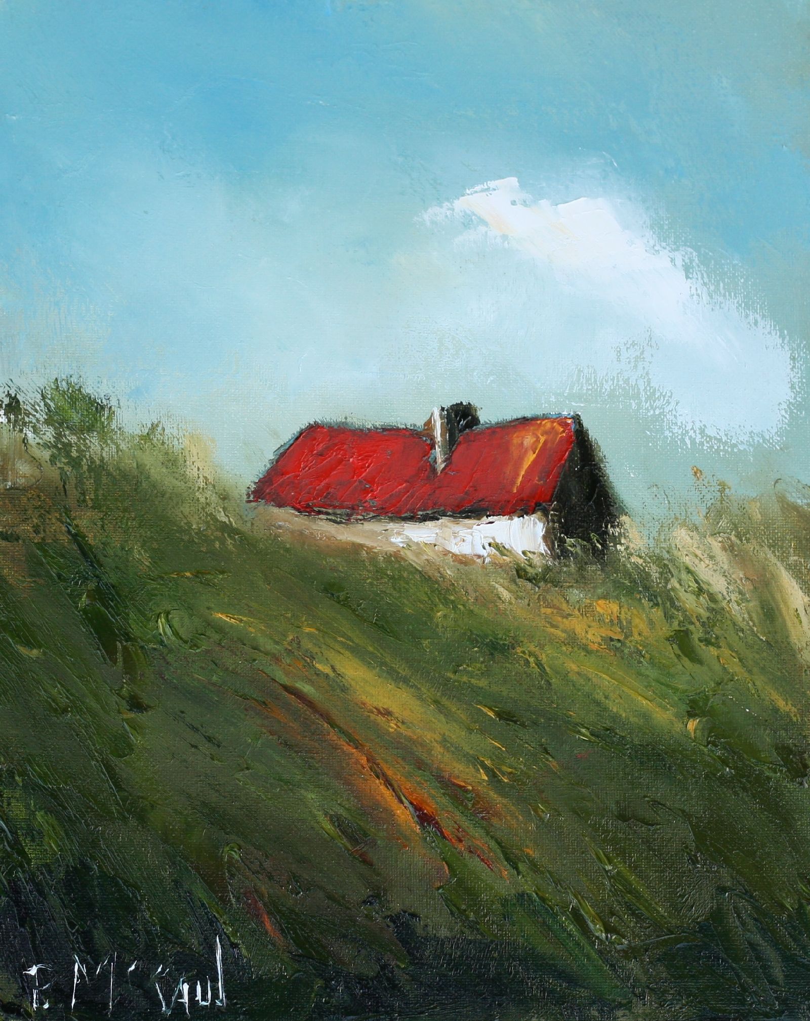 Summer Cottage #1 by Padraig McCaul
