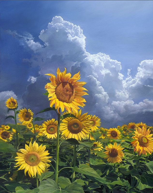 Sergey  Talichkin - Sunflowers
