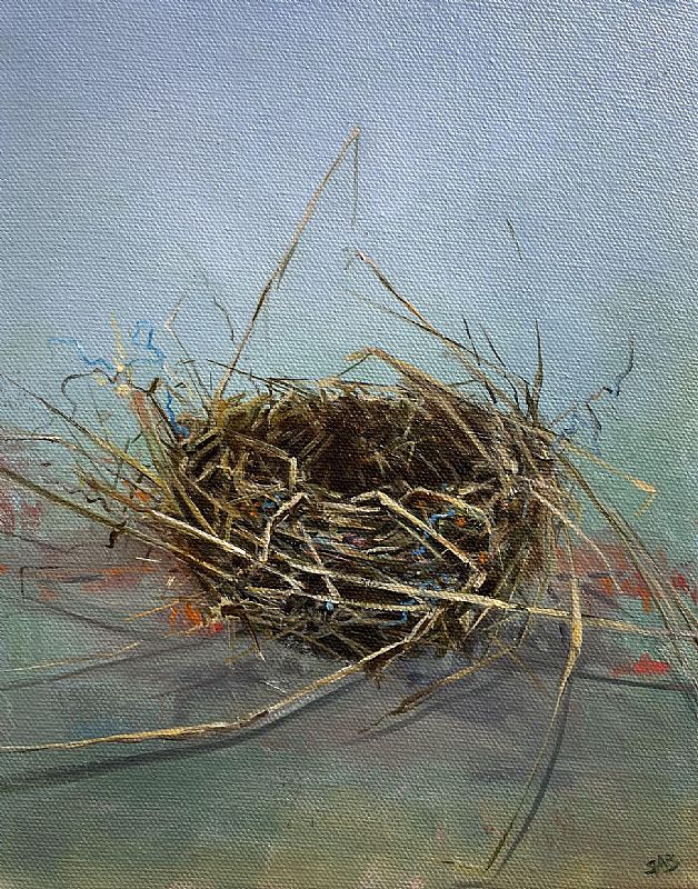 Sallyann Beirne - The nest