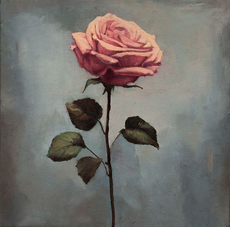 Joseph  Dawson - The rose itself