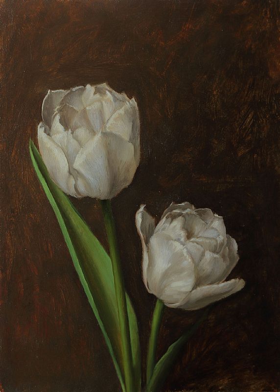 Rae Perry - White Tulips