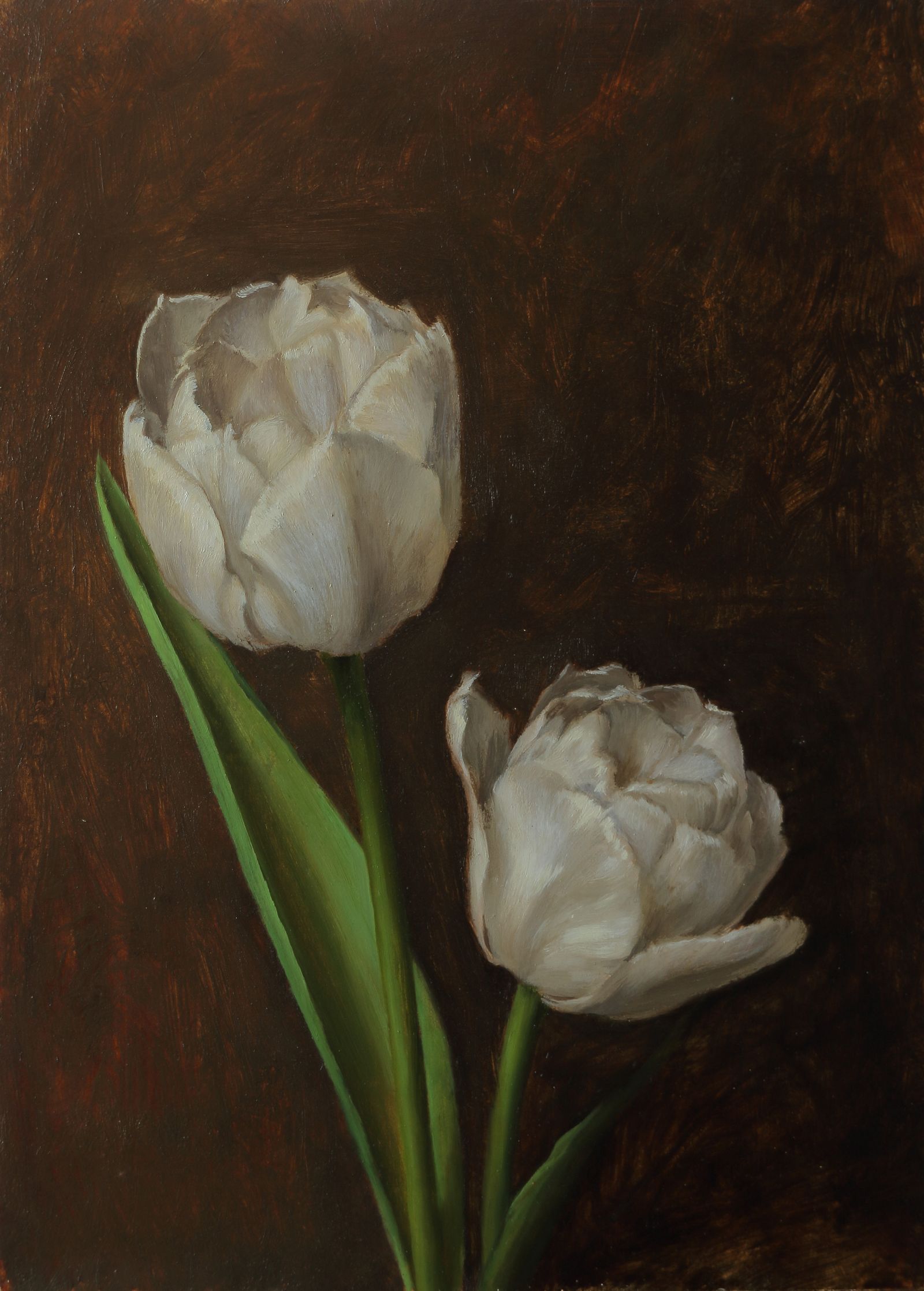 White Tulips by Rae Perry